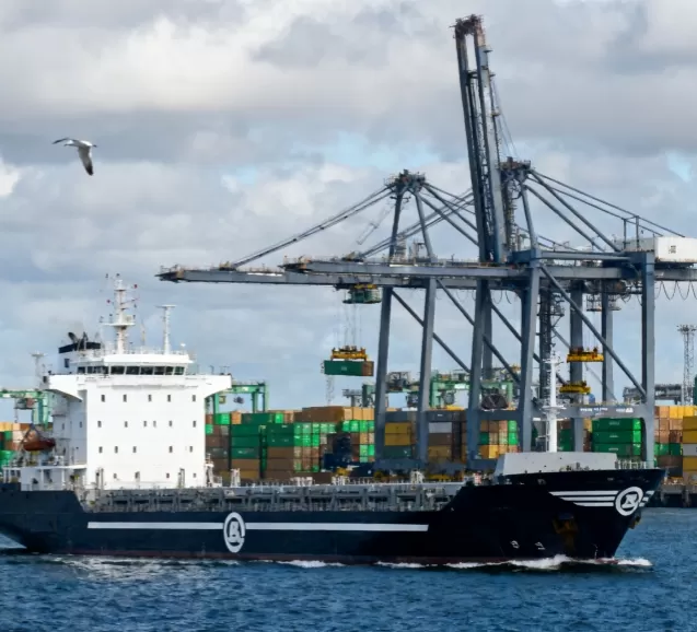 La compagnie maritime Monaco Shipping Company Andromeda a commandé le capteur de poids d'arrêt de chaîne 550t de WTAU.